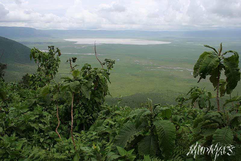 Mud Maps Africa Ngorongoro NP 1958